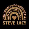 Classic Name Steve Vintage Styles Camping 70S 80S  Mug Official Steve-Lacy Merch